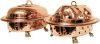 Covered dish and food warmer 